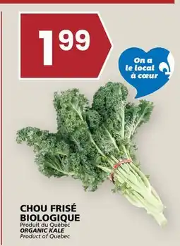 Rachelle-Bery Grocery ORGANIC KALE offer