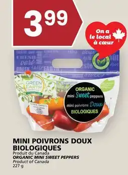 Rachelle-Bery Grocery ORGANIC MINI SWEET PEPPERS offer