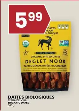 Rachelle-Bery Grocery TERRA DELYSSA ORGANIC DATES offer
