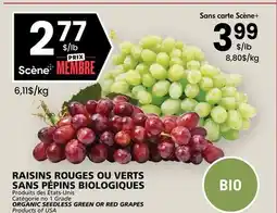 Rachelle-Bery Grocery ORGANIC SEEDLESS GREEN OR RED GRAPES offer