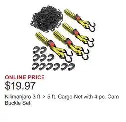 Costco Kilimanjaro 3 ft. × 5 ft. Cargo Net with 4 pc. Cam Buckle Set offer