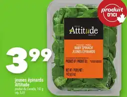 Marche Ami JEUNES ÉPINARDS ATTITUDE offer