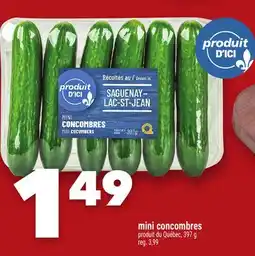 Marche Ami MINI CONCOMBRES offer