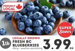 IGA Fresh bc blueberries offer