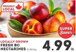 IGA Fresh bc nectarines offer