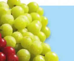 Walmart Green seedless grapes offer