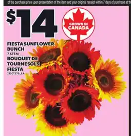 Independent Grocer FIESTA SUNFLOWER BUNCH, 7 STEM offer