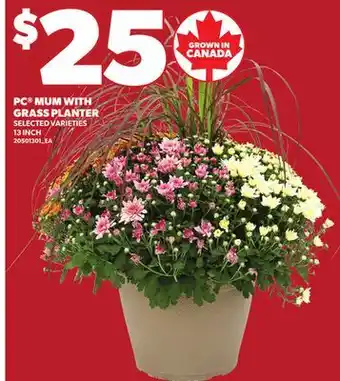Loblaws PC MUM WITH GRASS PLANTER offer