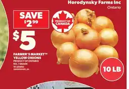 Loblaws FARMER'S MARKET YELLOW ONIONS, 10 LB BAG offer
