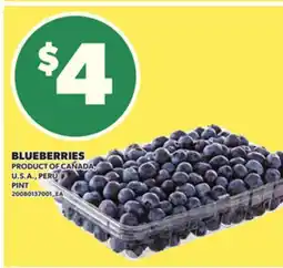 Loblaws BLUEBERRIES, PINT offer