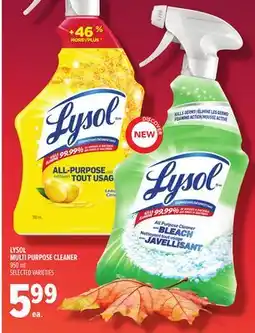 Metro LYSOL MULTI PURPOSE CLEANER offer