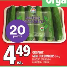 Metro ORGANIC MINI CUCUMBERS offer