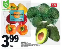 Metro AVOCADOS offer