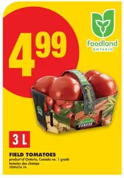 No Frills FIELD TOMATOES, 3 L offer