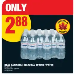 No Frills REAL CANADIAN NATURAL SPRING WATER, 24x500 mL offer