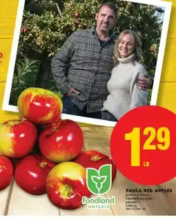 No Frills PAULA RED APPLES offer