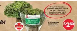 Real Canadian Superstore PC LIVE LETTUCE offer