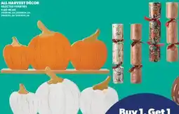 Real Canadian Superstore ALL HARVEST DÉCOR offer