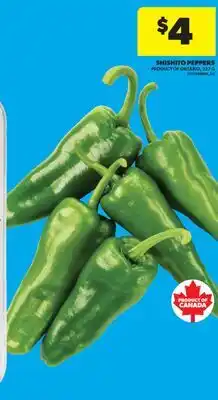 Real Canadian Superstore SHISHITO PEPPERS, 227 G offer