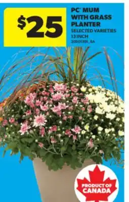 Real Canadian Superstore PC MUM WITH GRASS PLANTER, 13 INCH offer