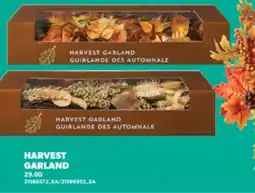 Real Canadian Superstore HARVEST GARLAND offer