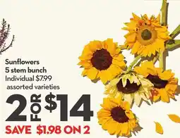 Longo's Sunflowers 5 stem bunch offer