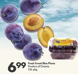 Longo's Fresh Sweet Blue Plums offer