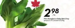 Sobeys Mini Shanghai or Baby Bok Choy offer