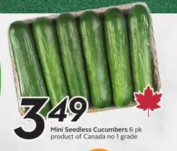 Sobeys Mini Seedless Cucumbers offer