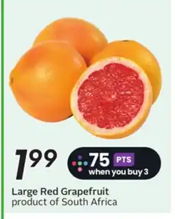 Sobeys Large Red Grapefruit offer
