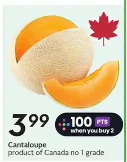 Sobeys Cantaloupe offer