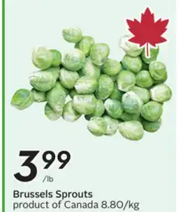 Sobeys Brussels Sprouts offer
