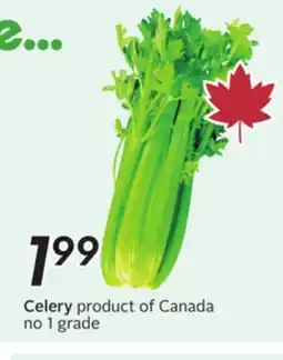 Sobeys Celery offer