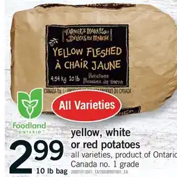 Fortinos YELLOW, WHITE OR RED POTATOES, 10 LB BAG offer