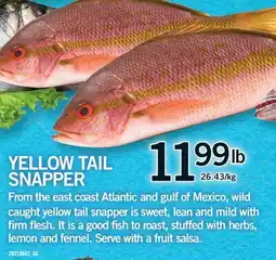 Fortinos YELLOW TAIL SNAPPER offer
