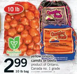 Fortinos YELLOW ONIONS, CARROTS OR BEETS, 10 LB BAG offer