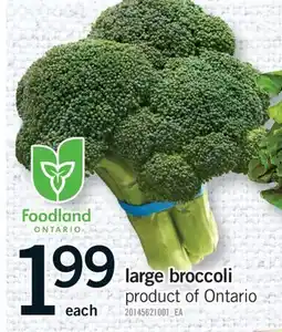 Fortinos LARGE BROCCOLI offer