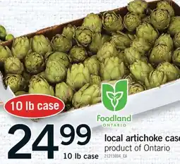 Fortinos LOCAL ARTICHOKE CASE, 10 lb case offer