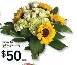Fortinos SUNNY TRIO HYDRANGEA SPRAY offer