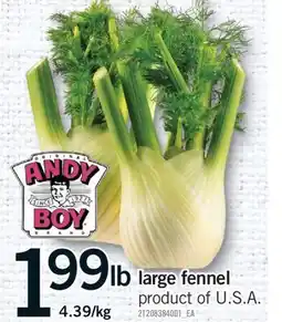 Fortinos LARGE FENNEL offer