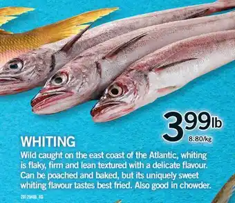 Fortinos WHITING offer
