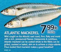 Fortinos ATLANTIC MACKEREL offer