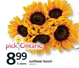 Fortinos SUNFLOWER BUNCH, 5 STEMS offer
