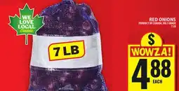 Food Basics RED ONIONS offer
