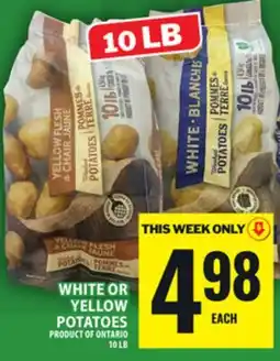 Food Basics WHITE OR YELLOW POTATOES offer