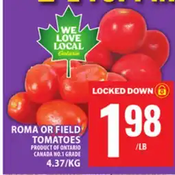 Food Basics ROMA OR FIELD TOMATOES offer