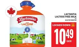 Food Basics LACTANTIA LACTOSE FREE MILK offer