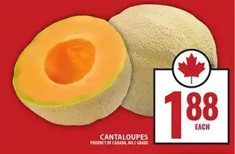 Food Basics CANTALOUPES offer