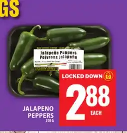 Food Basics JALAPENO PEPPERS offer