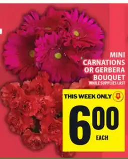 Food Basics MINI CARNATIONS OR GERBERA BOUQUET offer